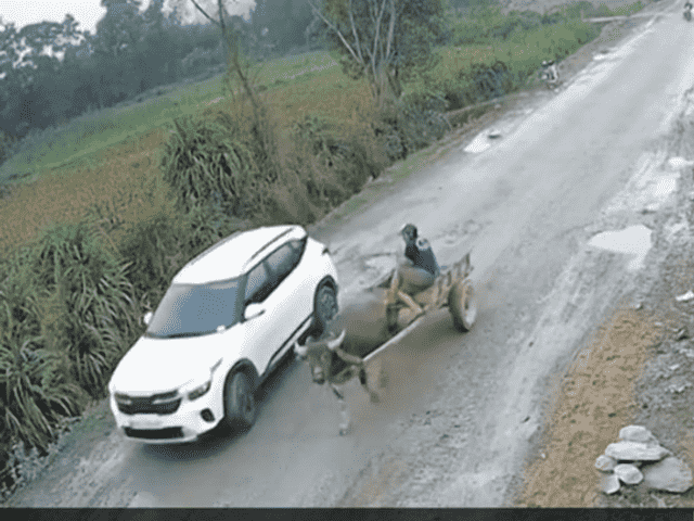 Tránh trâu lao xuống mương, Mất lái lao xuống mương, Bảo hiểm ô tô, Bảo hiểm thân vỏ ô tô, Emily xevaban, Bảo hiểm bắt buộc, Mua bảo hiểm ô tô, tư vấn bảo hiểm miễn phí, đòi quyền lợi bảo hiểm miễn phí